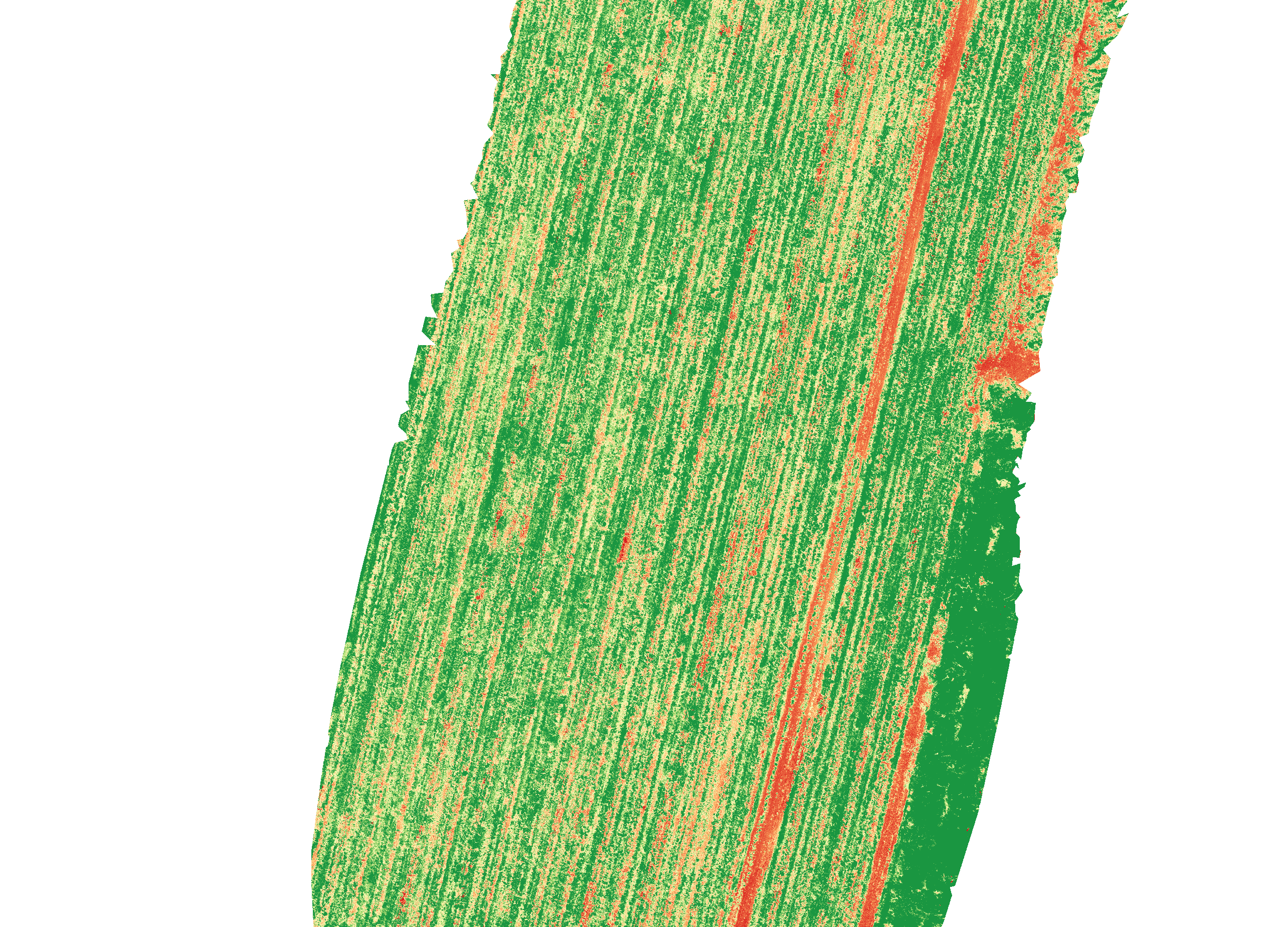 Mappa NDVI vigneto Abruzzo: indice di vigore vegetativo rilevato da drone